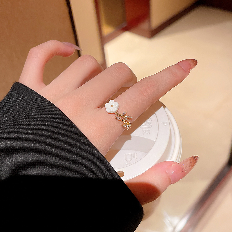 ǲ(й)ٷվ